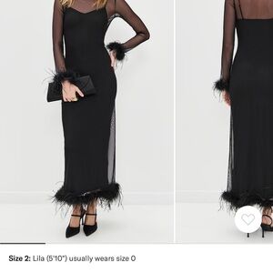 Never Fully Dressed Sheer Black Feather Dress